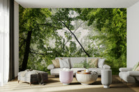 Calming and inviting natural landscape wallpaper.

