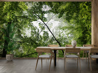 Artistic depiction of a forest's overhead view.

