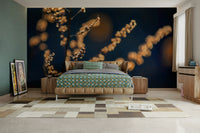 Delicate grass in soft sunlight
