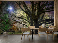 Sense of wonder and quiet contemplation.

