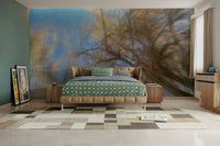 Sense of spaciousness and tranquility.

