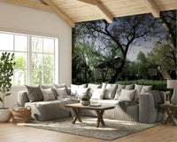 Tranquil nature photography on a wall.

