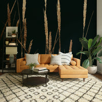 Beautiful interplay of light and shadow.
