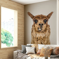 Inviting and comforting aesthetic.

