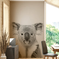 Soft colors of koala fur and natural background.

