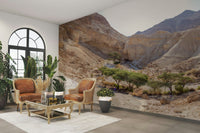 Vast and arid desert landscape.

