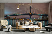 High-resolution image of the Manhattan Bridge at night.

