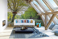 serene nature landscape wallpaper


