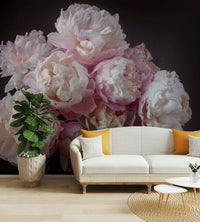 Soft, diffused lighting.

