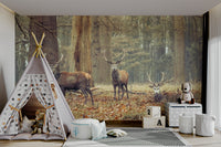 woodland lords wall mural

