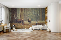 deer with antlers in a misty woods

