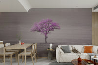 orchid branches on a wall

