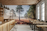 Dreamy forest scene with soft mist.

