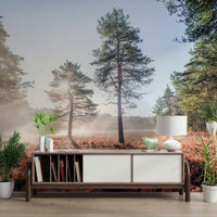 Sense of profound tranquility and natural wonder.

