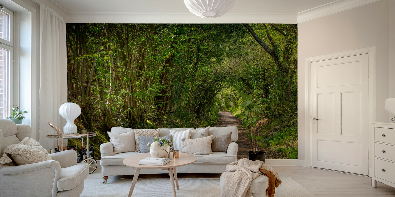 Serene, winding path in nature.

