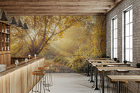 Lush forest, waterfall, lake, or mountain range.

