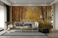 Warm autumnal color palette.

