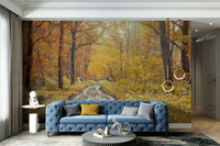 Sunlight dappling through leaves.

