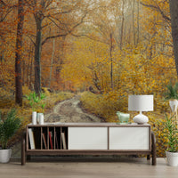 Reds, oranges, yellows, browns.

