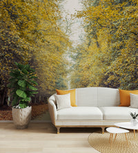 It gives a feeling of calm, exhilarating beauty, and inviting natural escape.
