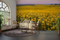 The flowers appear to stretch to the horizon.
