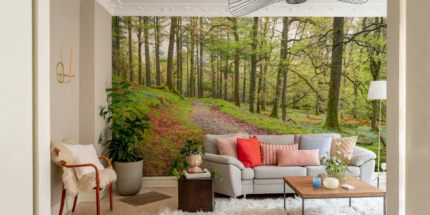 The path is a central focus of the image.

