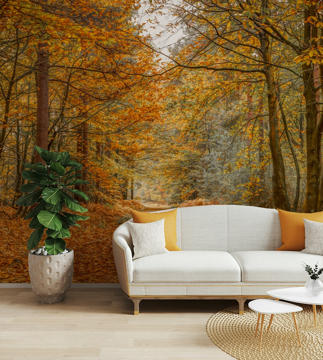 The image shows a path winding through a forest with a warm, golden light.

