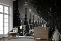 Bare, dark trees line the path on the right side, creating a dramatic contrast.

