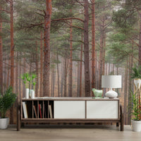 The print captures fine details of the tree trunks and the soft lighting.

