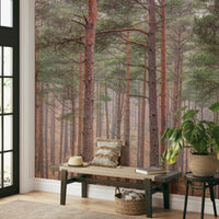 A close-up view of the detailed tree bark and soft light.

