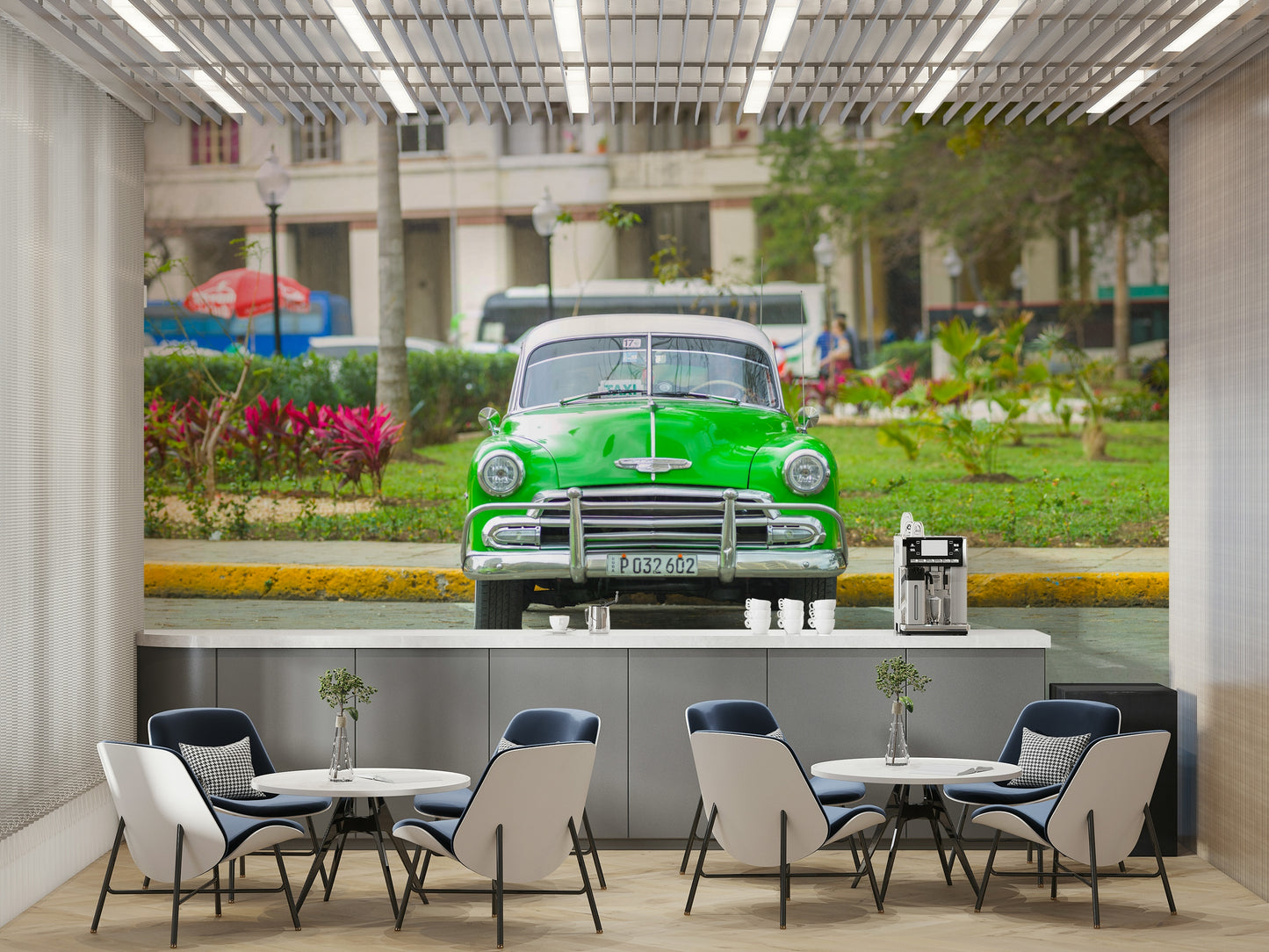 The image is a high-quality photograph.

