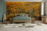 The light suggests a sunny day.

