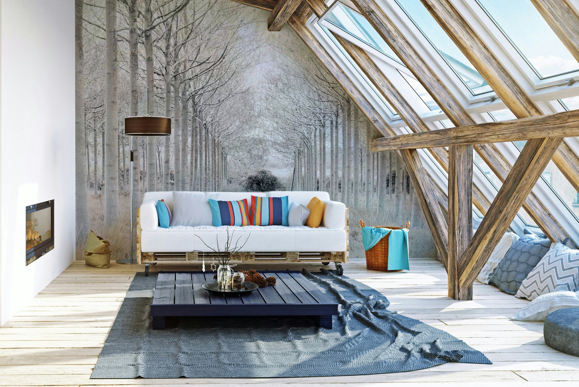 The image is a high-quality photograph.

