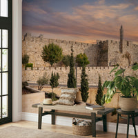 The mural gives a feeling of being in an ancient city.

