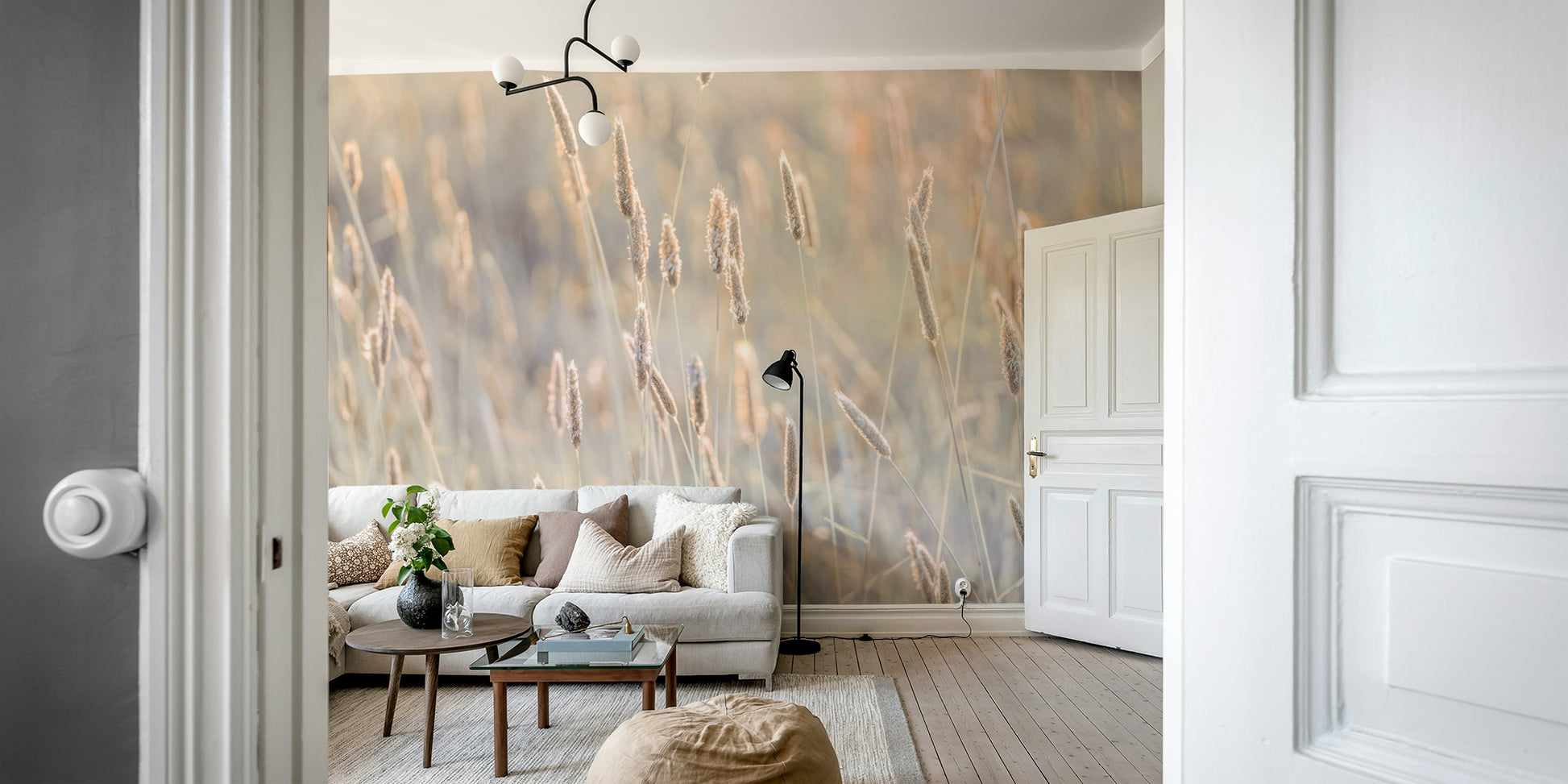 The image shows a field of soft, tall grass and seed heads.

