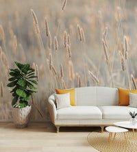 The image has a soft, dreamlike look.

