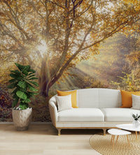 The trees and light are a central focus of the image.

