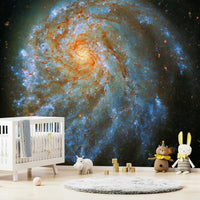 The image has a soft, painted look.

