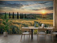 Rolling hills and tall, slender cypress trees dot the landscape.
