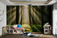 The overall feeling is one of calm, tranquility, and natural peace.
