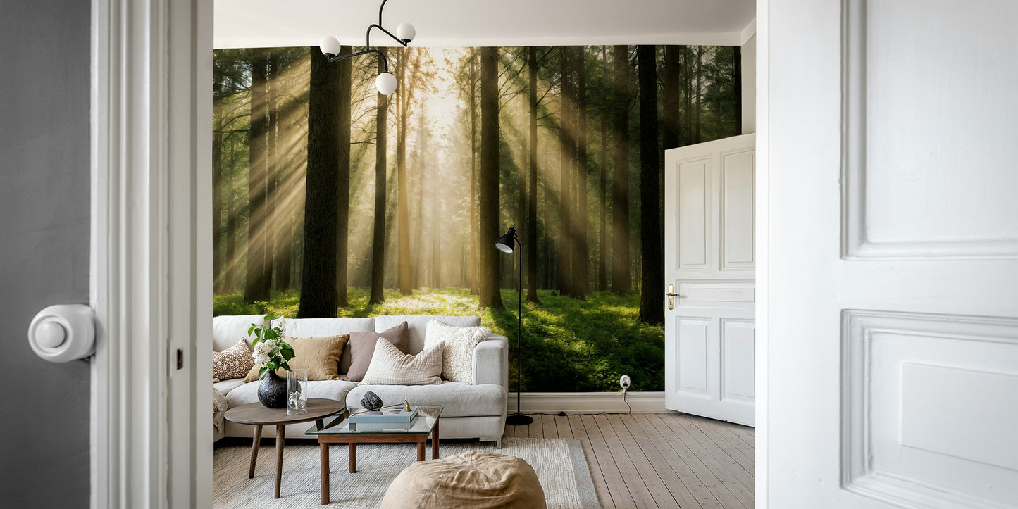 The lighting in the room is soft, complementing the mural's mood.
