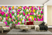 The wallpaper is perfect for a peaceful space.

