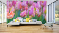 Wall mural of a serene springtime landscape.

