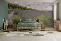 Wall mural with lavender blooms.


