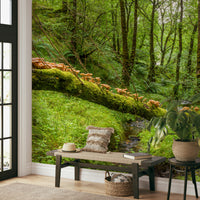 The design has a beautiful, elegant look.

