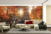 A high-quality print of a tranquil forest.

