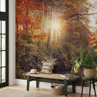 The design has a beautiful, elegant look.

