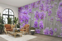 A close-up of the delicate flowers and purple colors.

