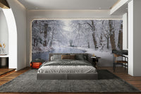Wall mural of a snowy canal scene.

