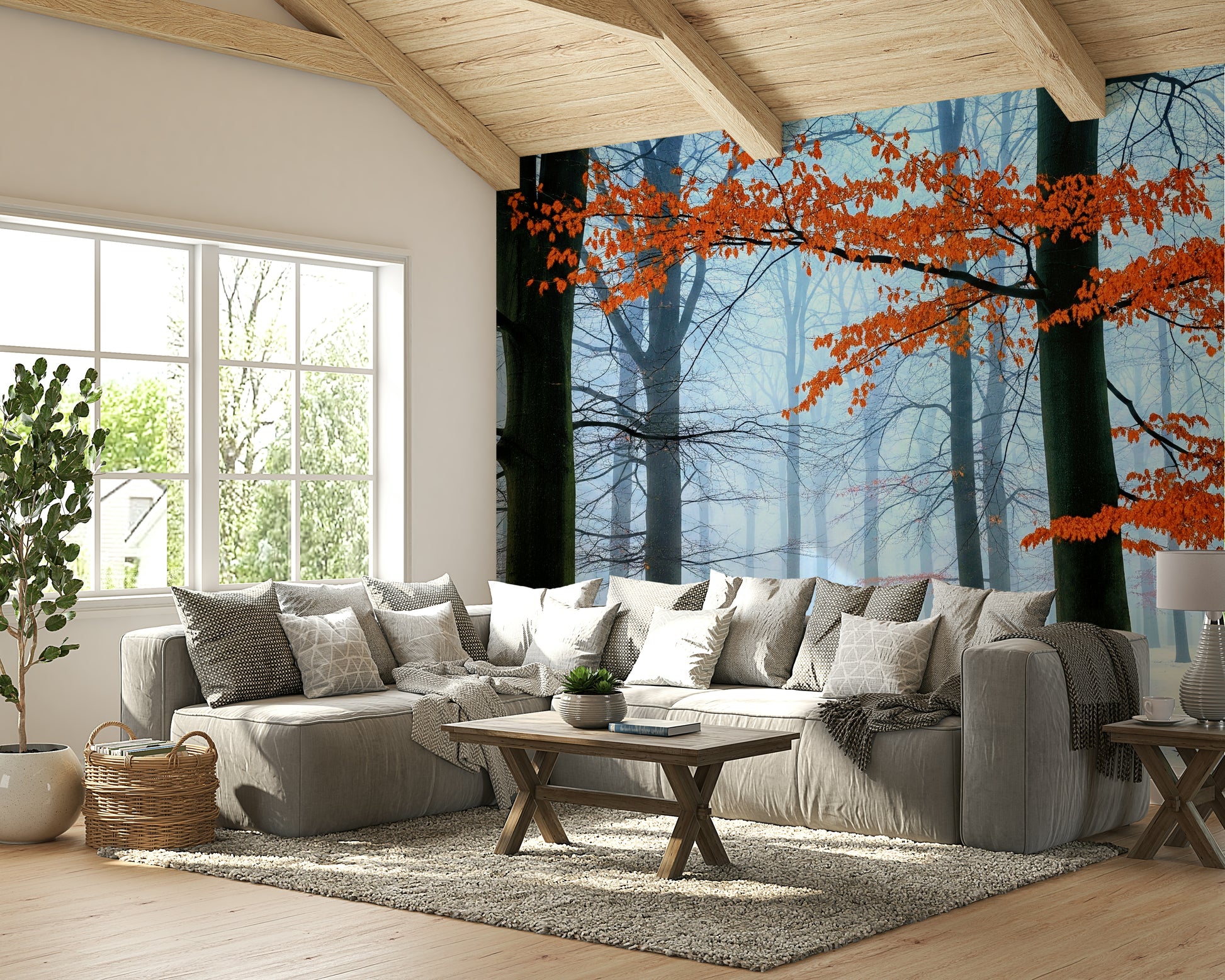 Trees are covered in a thin layer of frost or ice.
